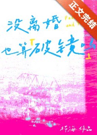 没离婚也算破镜吗[娱乐圈]