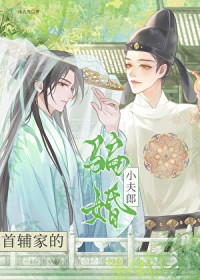 首辅家的骗婚小夫郎