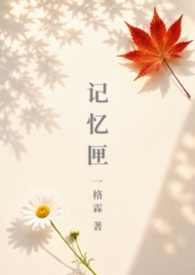 记忆匣（兄妹）