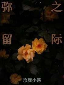 弥留之际